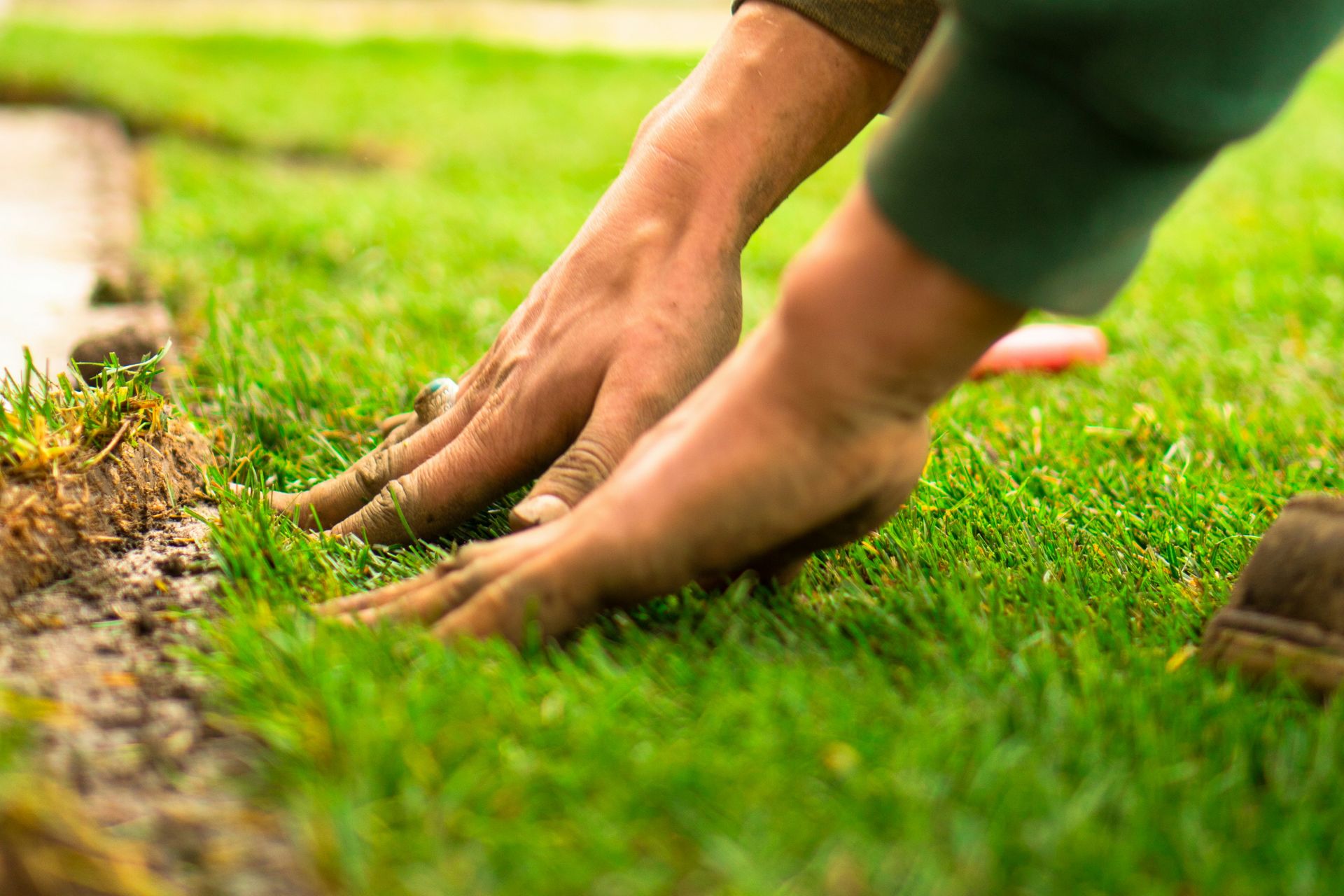 A person with soil-covered hands pressing fresh green sod into the ground